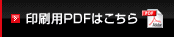 pPDF͂